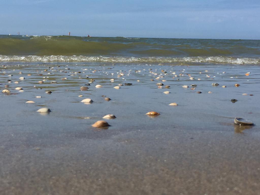 Sea You Hotel Noordwijk Zewnętrze zdjęcie